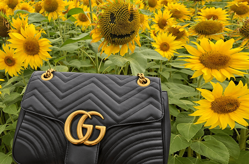 The Brands: How Gucci speeds up on eco-friendliness